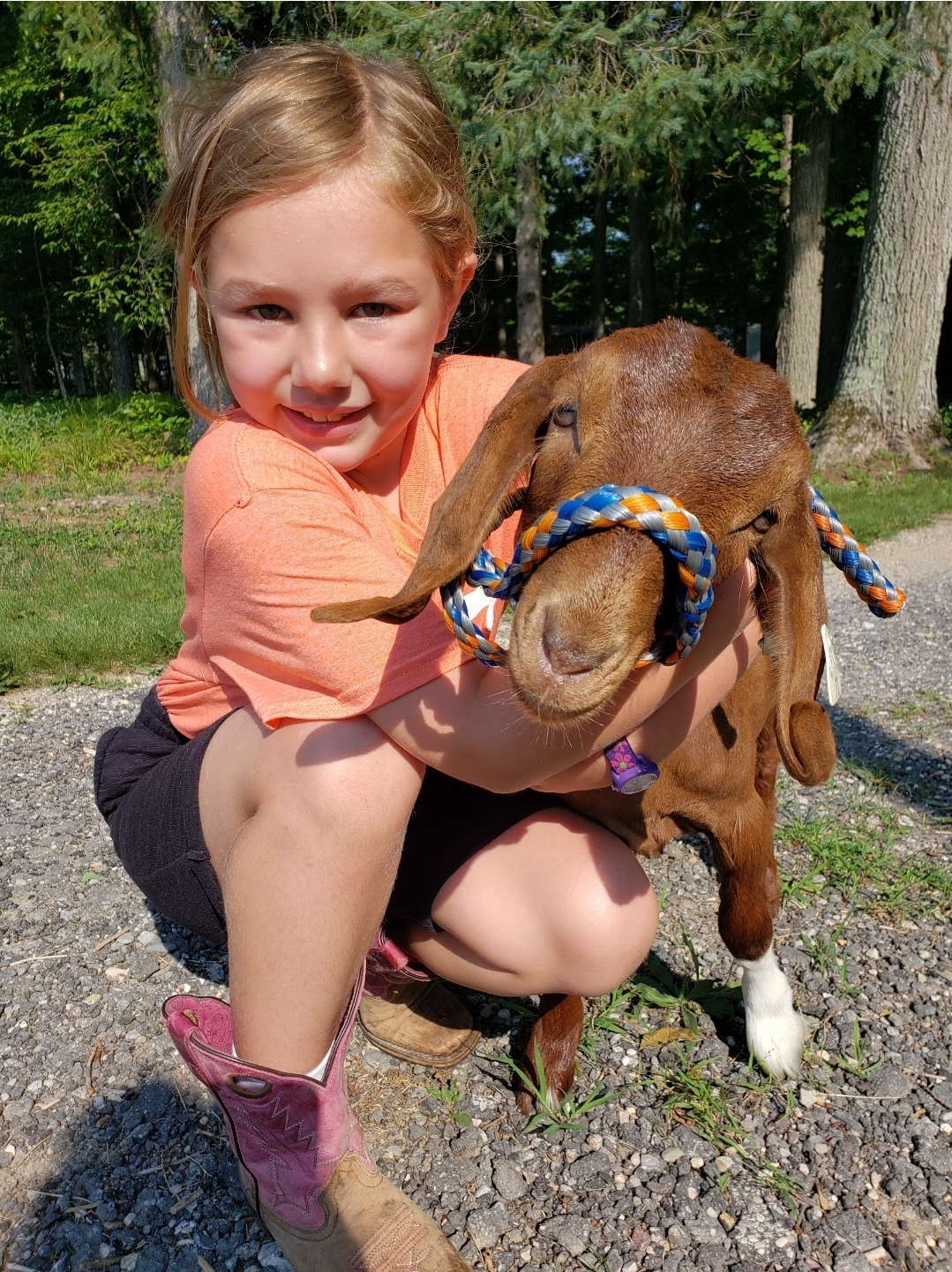 A young girl in an orang shirt hugs a goat.